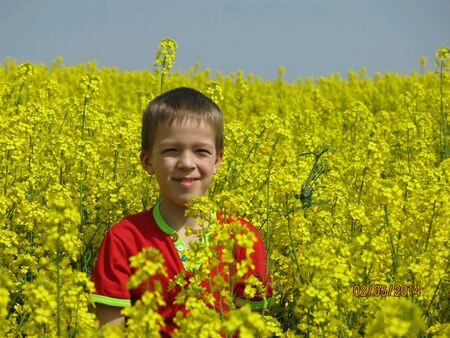 Boy on rape field 