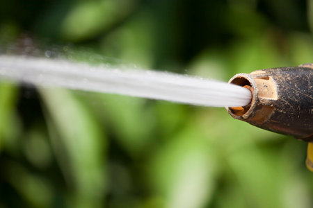 Jet of water rises from the tip of device of irrigation of garden at the sunshine on background of green plants.の写真素材