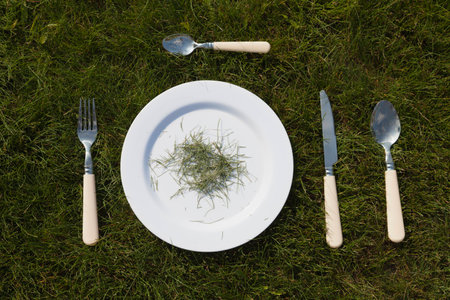 White plate and cutlery on green grass outdoors. On the plate a little bit of cut grass.の写真素材