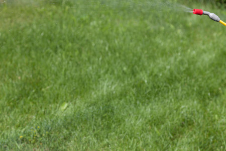 Blurred grass background, sprinkle in the upper right corner and weak rainbow from drops at center.の写真素材