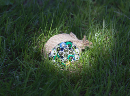 Batteries wrapped a rope on the grass in a bright sunbeam.の写真素材