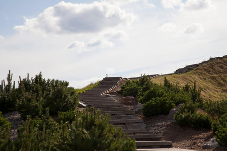 Ladder on the hill on background of blue sky and clouds in the summer.の写真素材