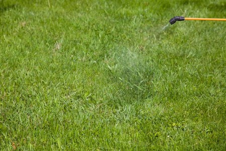 Device of spraying pesticide. Clarity on the head of the sprayer.の写真素材