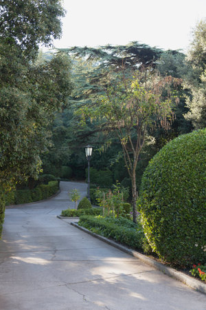 Alley in the park. Cropped bushes and street light. Mountains in the distance.の写真素材