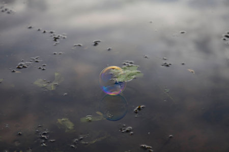 Rainbow soap bubble on the background reflections in the river. The gray sky with clouds, shallow bottom and aquatic plants.の写真素材