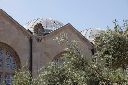 Ancient olives trees on the background of Basilica of the Agony (Church of All Nations) in the Garden of Gethsemane, Jerusalem.の写真素材