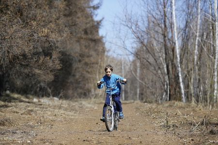 Child on a bicycle on a forest road in summerの写真素材