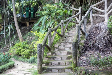 Bamboo pedestrian suspension bridge. Vietnam.の写真素材