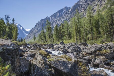 A view of the mountains through a green forest against a blue sky.