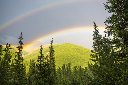 Rainbow in the forest among the mountains and hills.の写真素材