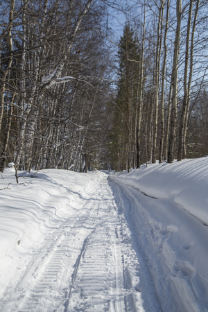 snow road paved in the winter forestの写真素材