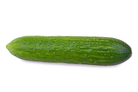 organic cucumberの写真素材