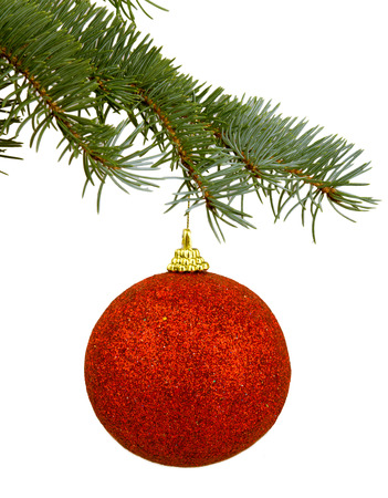 red Christmas toy on a branchの写真素材