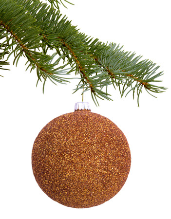 Golden Christmas toy on a branchの写真素材