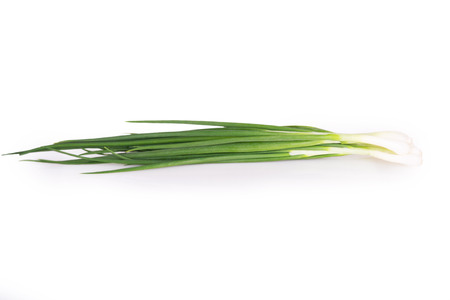 sheaf of young onions isolatedの写真素材