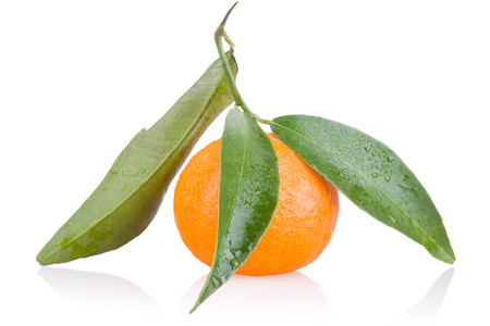 ripe tangerine with leavesの写真素材
