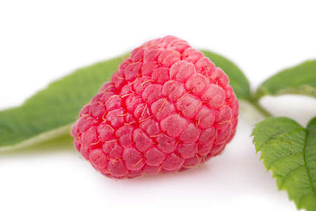 raspberry on a background of leavesの写真素材