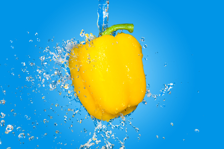 splash with yellow pepper on blue backgroundの写真素材