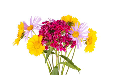 summer bouquet on white backgroundの写真素材