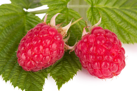 raspberries lying on leaves macroの写真素材