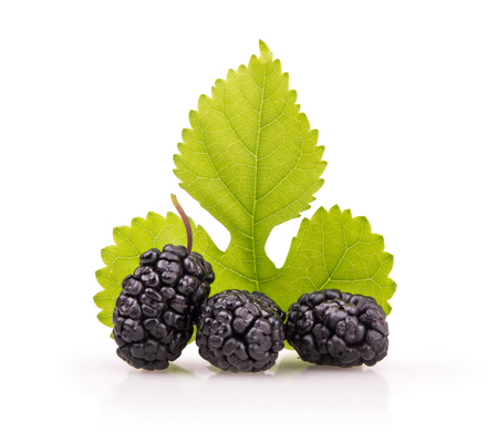 ripe mulberry with a leaf on a white backgroundの写真素材