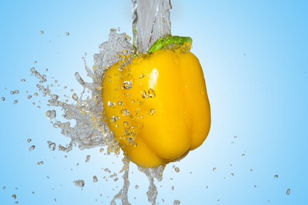 splash with yellow pepper on blue backgroundの写真素材