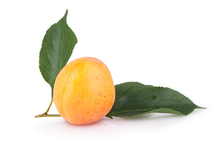 ripe yellow apricot on white backgroundの写真素材