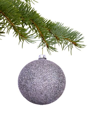 silver Christmas toy on a branchの写真素材