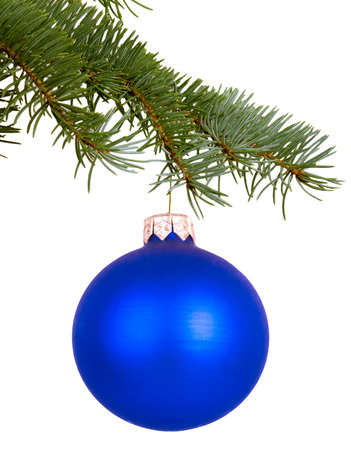 Blue Christmas toy on a branchの写真素材