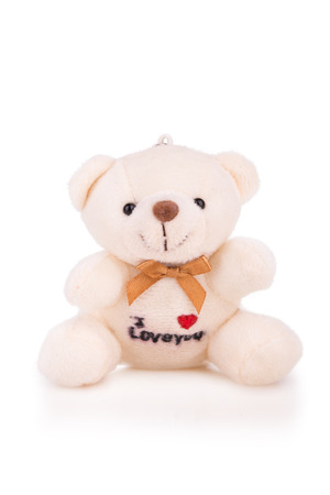 little white teddy bear isolatedの写真素材