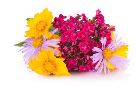 motley summer bouquet on white backgroundの写真素材