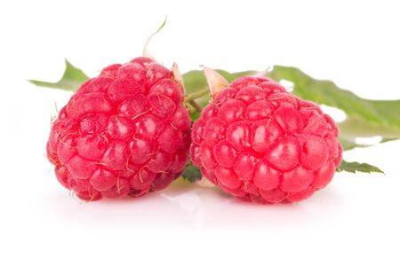 two ripe raspberries on a white background macroの写真素材
