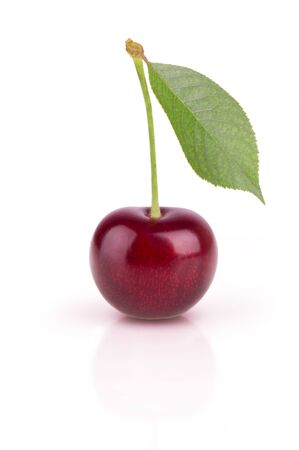 One ripe cherry on a white backgroundの写真素材