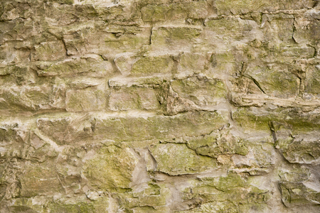 stone wall background covered with mossの写真素材