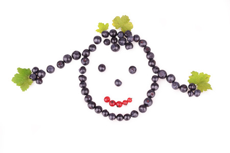 picture of blueberries and red currants isolatedの写真素材