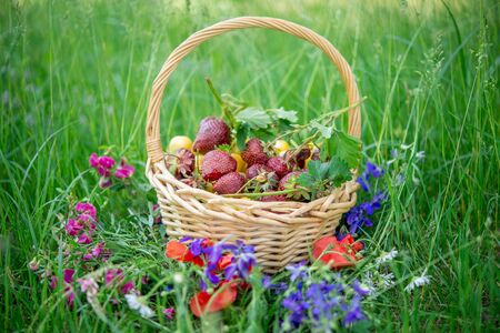 basket of fresh berries closeup in a green grassの写真素材
