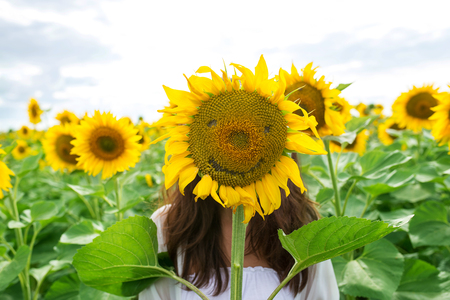 girl is hiding behind a smiling sunflower in a fieldの写真素材