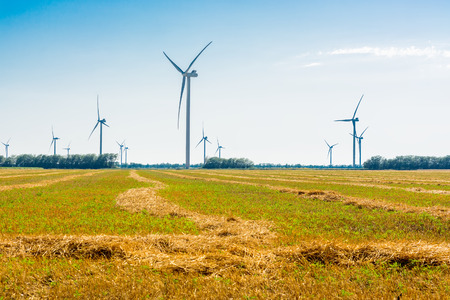 Wheat field and eco power, wind turbinesの写真素材