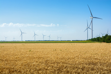 Wheat field and eco power, wind turbinesの写真素材