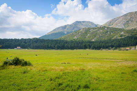 Idillic mountain landscape in summer in Montenegro, Europeの写真素材