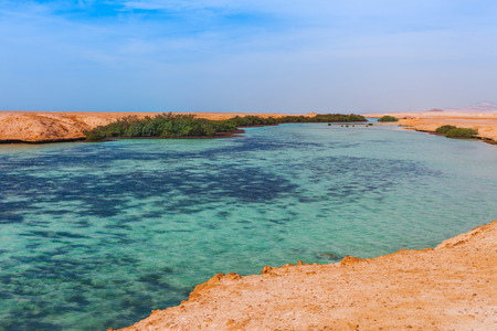 Sea coast and mangroves in the Ras Mohammed National Park. Famous travel destionation in desert. Sharm el Sheik, Sinai Peninsula, Egypt.の写真素材