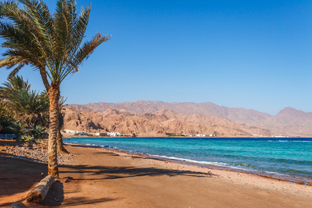 Sunny resort beach at the coast shore of Red Sea in Dahab, Sinai, Egypt, Asia in summer hot. Famous tourist destination near of Sharm el Sheikh. Bright sunny lightの写真素材