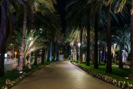 Night view Cannes, Cote d'Azur, France, South Europe. Nice city and luxury resort of French riviera. Famous tourist destination with nice beach and Promenade de la Croisette on Mediterranean seaの写真素材