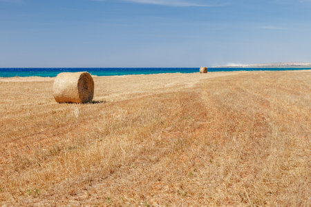 Beautiful panoramic view on straw field with bales on sea coast near of Ayia Napa and Cavo Greco, Cyprus island, Mediterranean Sea. bright sunny day.の写真素材