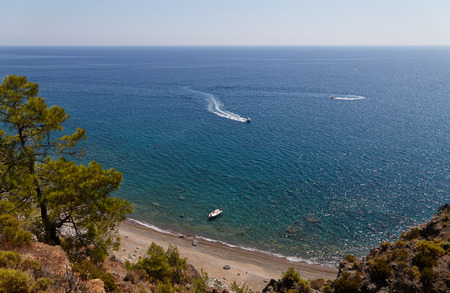 Sea landscape with a tree - the sea, rocks, the skyの写真素材