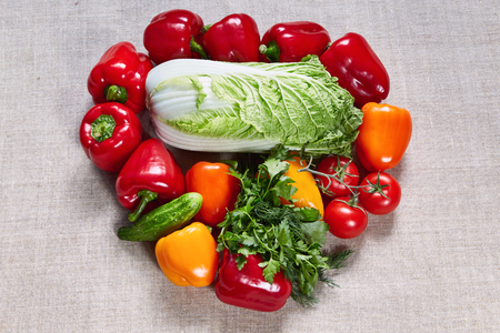 Red, orange and yellow paprika, Beijing cabbage, fennel, parsley are filled on a gray canvas.の写真素材