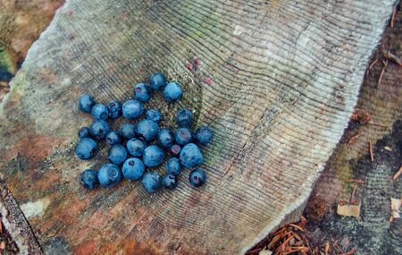 Close-up of wild blueberries lie on the wooden texture.