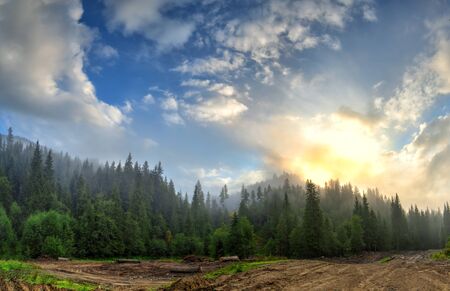 Bright sunrise in the fog and clouds in the mountainous landscape surrounded by spruce trees near...