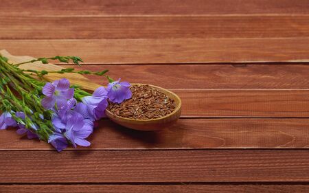 Flax seeds in vintage spoon with linum plants and lin flower on brown vintage background. Conceptual photo for medicine and dietary nutrition. の写真素材