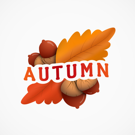 Autumn emblem with an inscription, red and yellow leaves, acorns.のイラスト素材